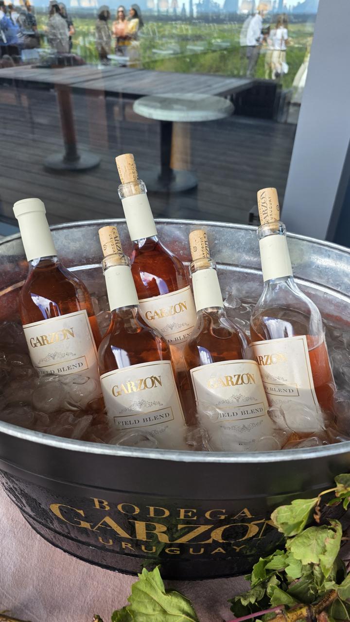 WhatsApp Image 2026-03-26 at 07.25.13