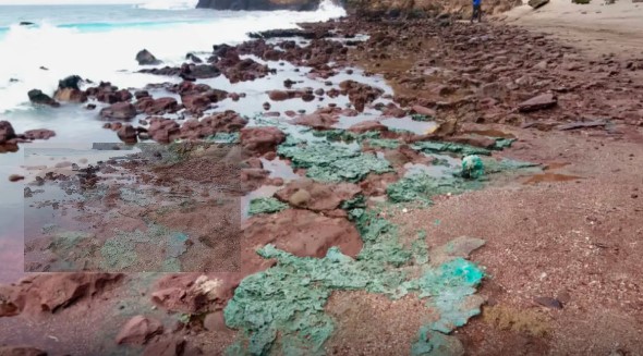 ESTRAGO Plástico incorporado às rochas da Ilha de Trindade pela pesquisadora fernanda Avelar dos Santos
