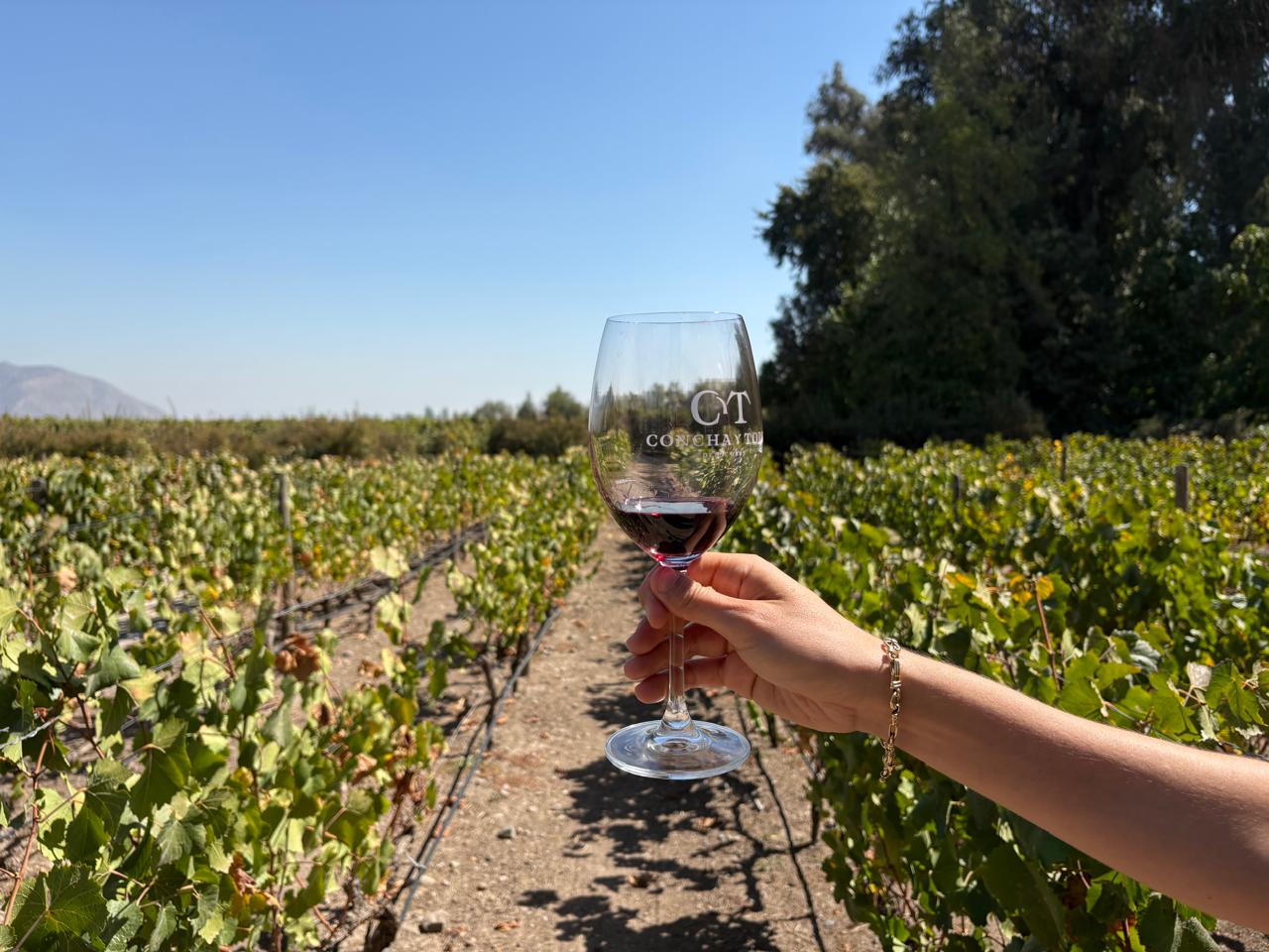 Roteiro exclusivo: 14 vinícolas para visitar e se encantar no Chile | O Mundo de Sofia