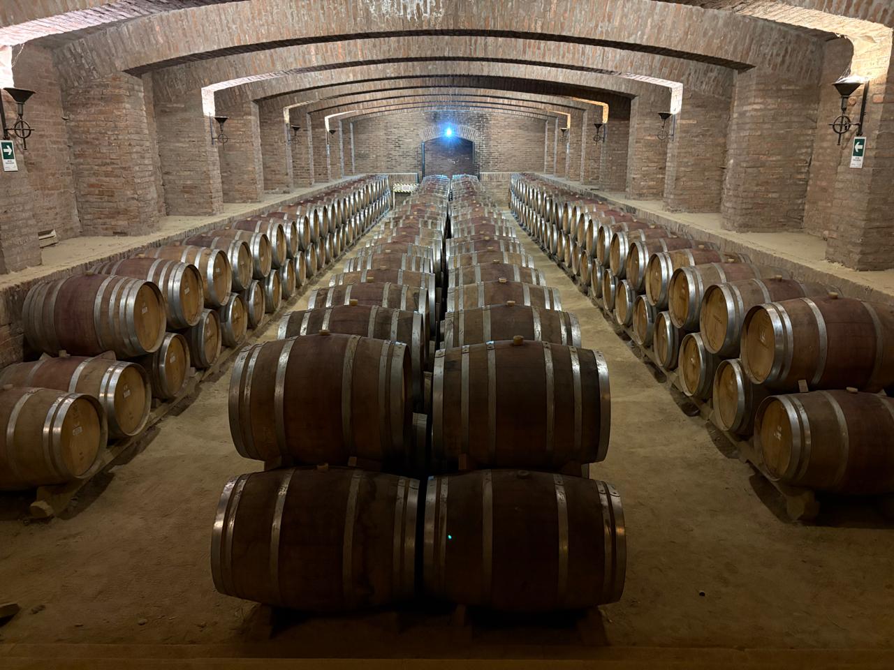 Tour completo: na Viña Montgras há uma variedade de experiências ligadas ao enoturismo que incluem, entre outros, a visita a sala das barricas, onde o vinho é envelhecido