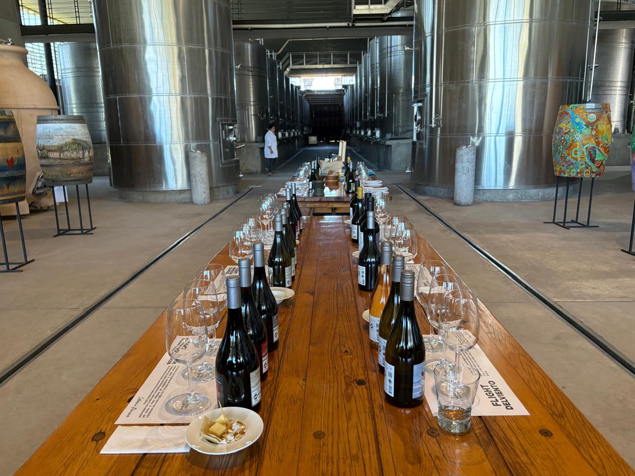 Viña Estampa: possibilidade de fazer um passeio pelos vinhedos a bordo de um carrinho especial e participar de uma degustação na sala dos tanques de fermentação do vinho