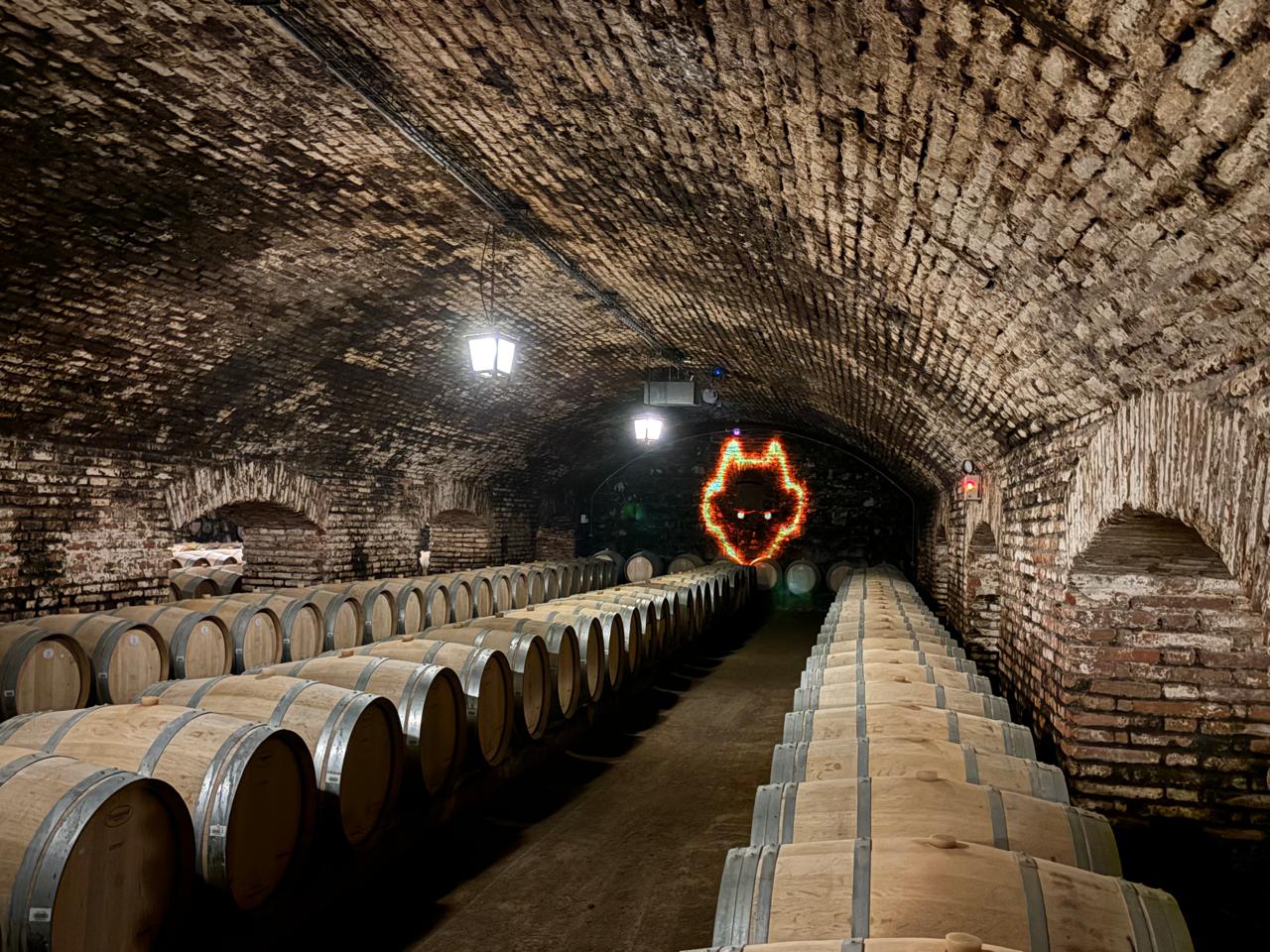 Concha Y Toro: a maior vinícola do país inaugurou em 2025 um novo 'Centro del Vinho', com experiências imersivas e interativas