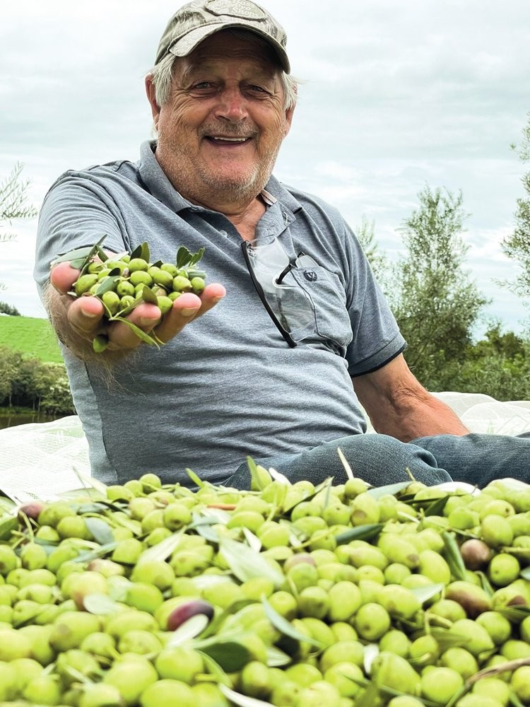 SONHO - Lucídio Goelzer: negócio familiar que rende frutos premiados