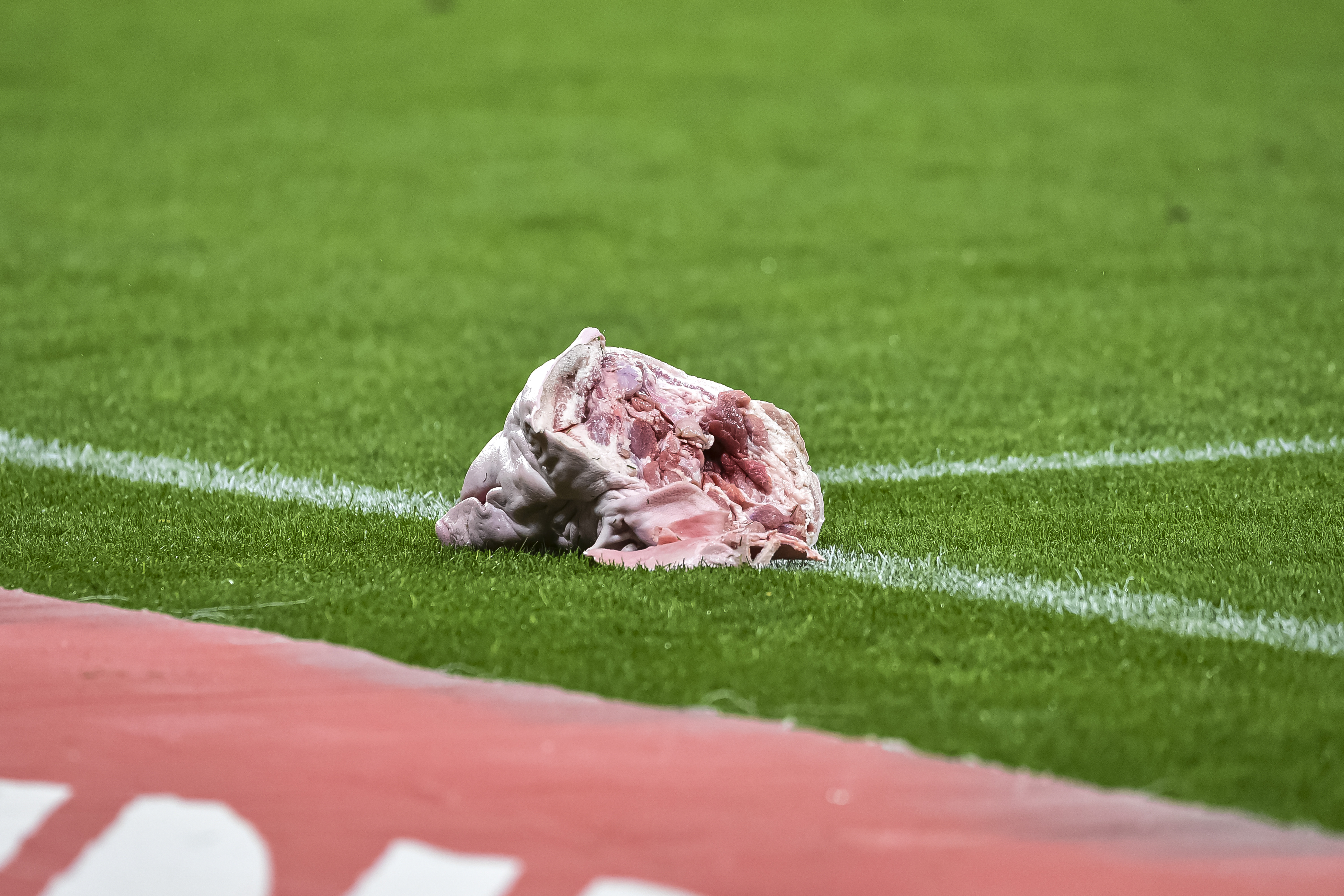 Cabeça de porco arremessada durante clássico entre Corinthians e Palmeiras