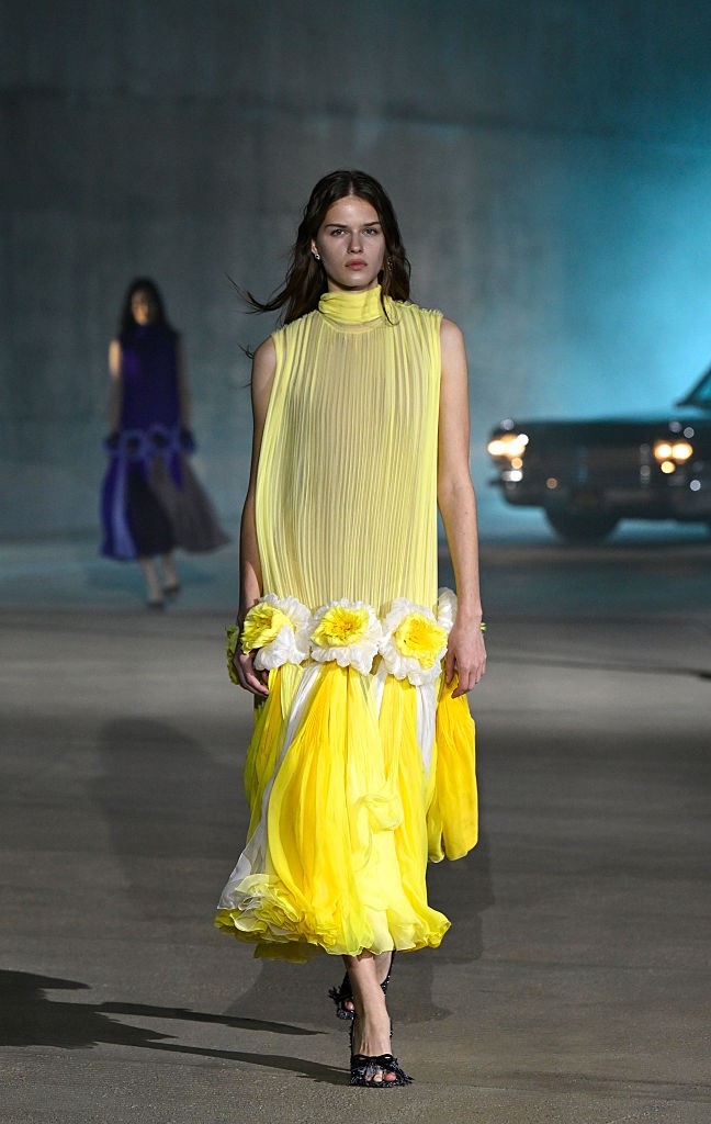 Dior cruise 2027