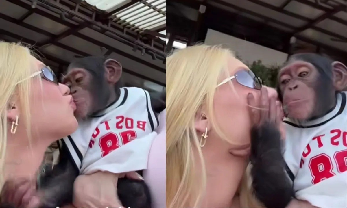 Virginia se explica por beijar macaco