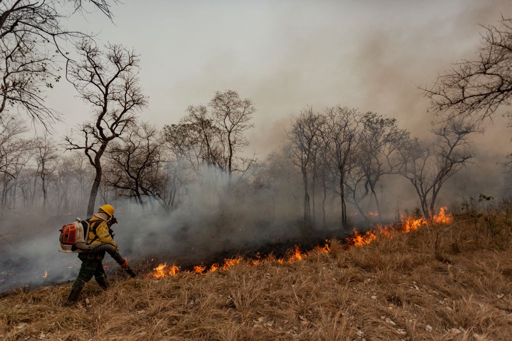 Bombeiro com capacete amarelo e roupa protetora usa um soprador para combater um incêndio em uma área de vegetação seca, com fumaça densa e árvores desfolhadas ao fundo