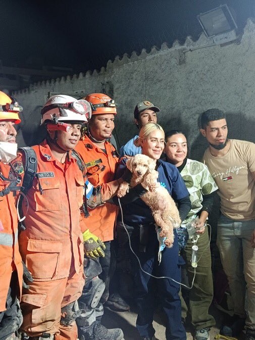 Grupo de seis pessoas, incluindo bombeiros e civis, posando com um cachorro resgatado. Uma mulher loira de uniforme azul segura o cão, que recebe soro intravenoso.