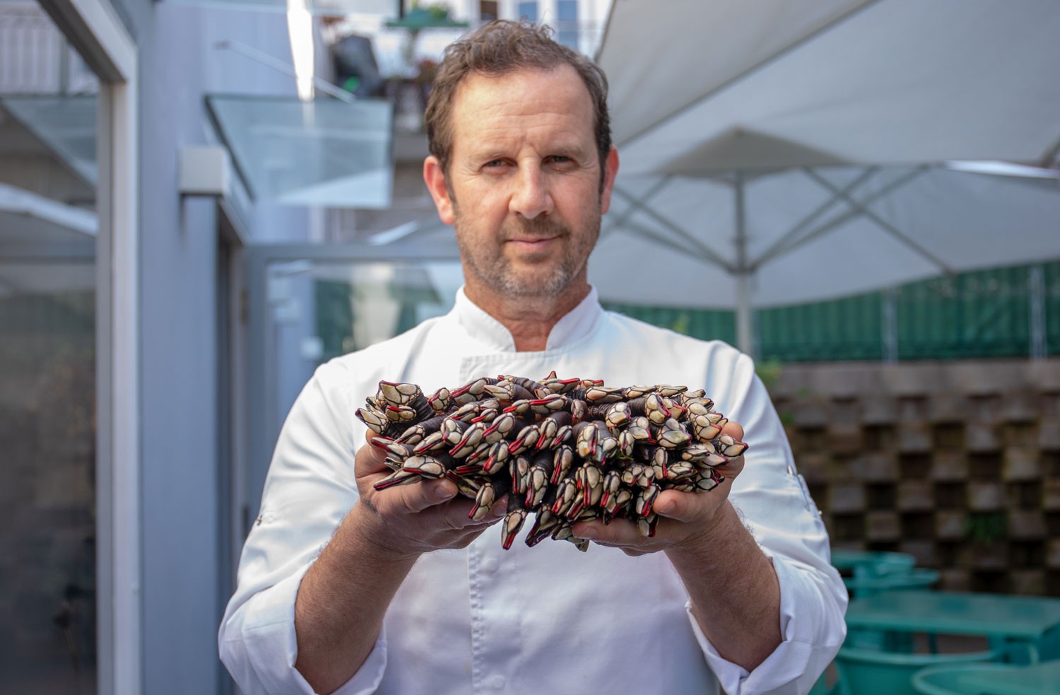 O chef Michelin que foge da cozinha ‘aos gritos’ no interior de Portugal