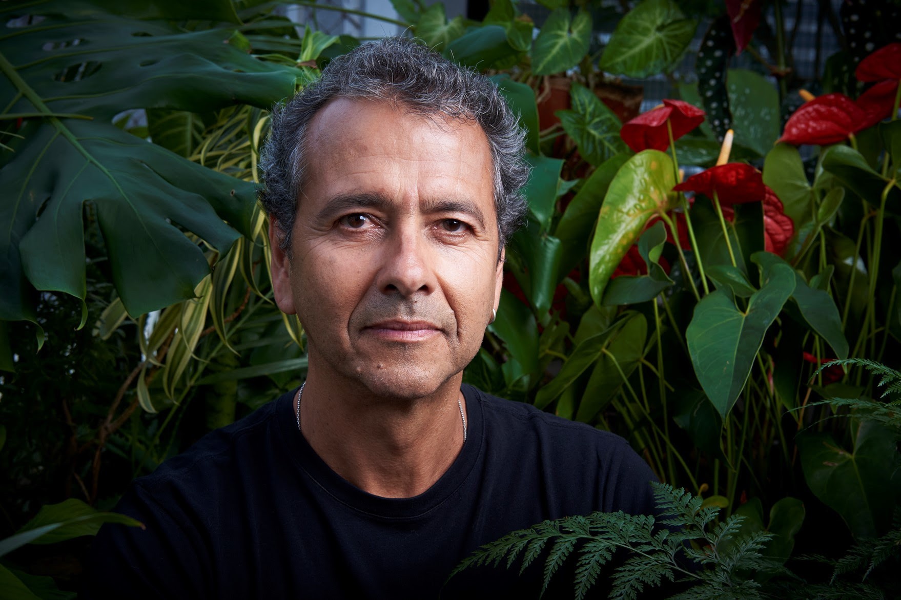 Marcos Palmeira