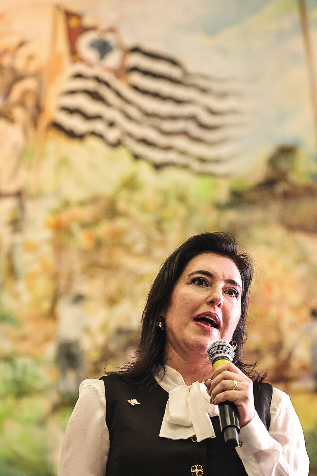 Simone Tebet foca em eleitor cansado da polarização em pré-campanha ao Senado em SP