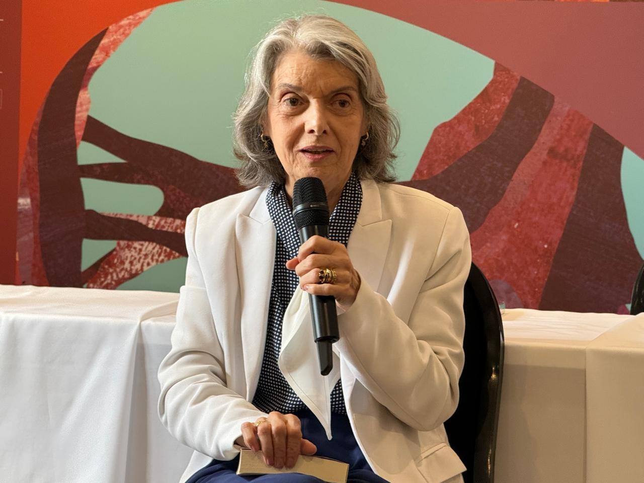 Um recado do livro infantil de Cármen Lúcia sobre democracia a colegas