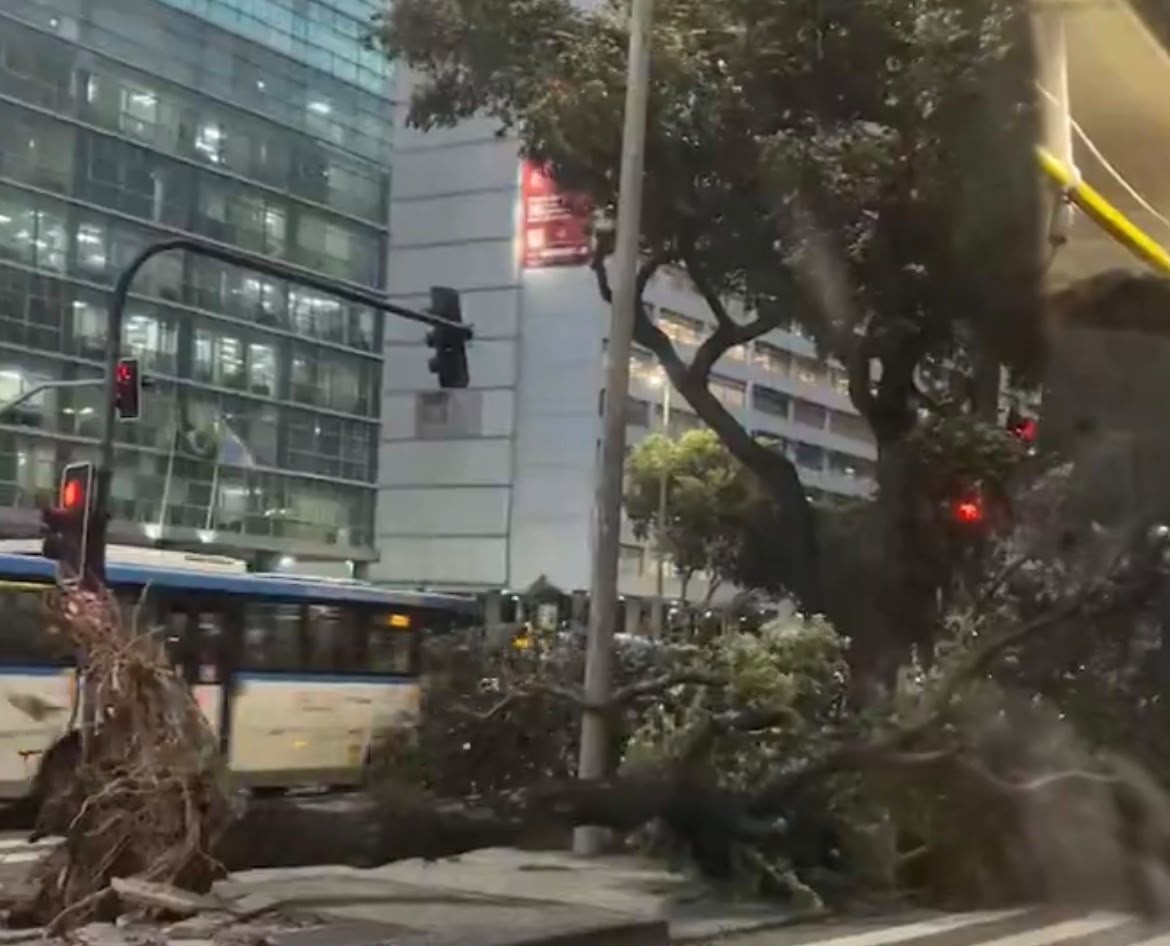 Árvore caída com raízes expostas bloqueia parte da rua, com um ônibus azul e branco passando ao fundo. Semáforos vermelhos e prédios iluminados completam a cena urbana noturna