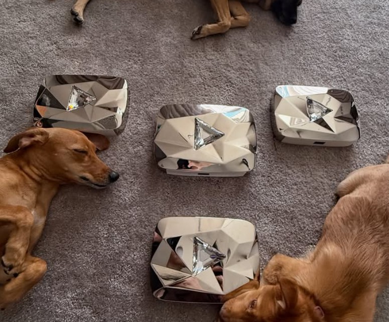 Quatro cães deitados em um tapete cinza, cercados por quatro placas de Diamante do YouTube, prêmios por milhões de inscritos