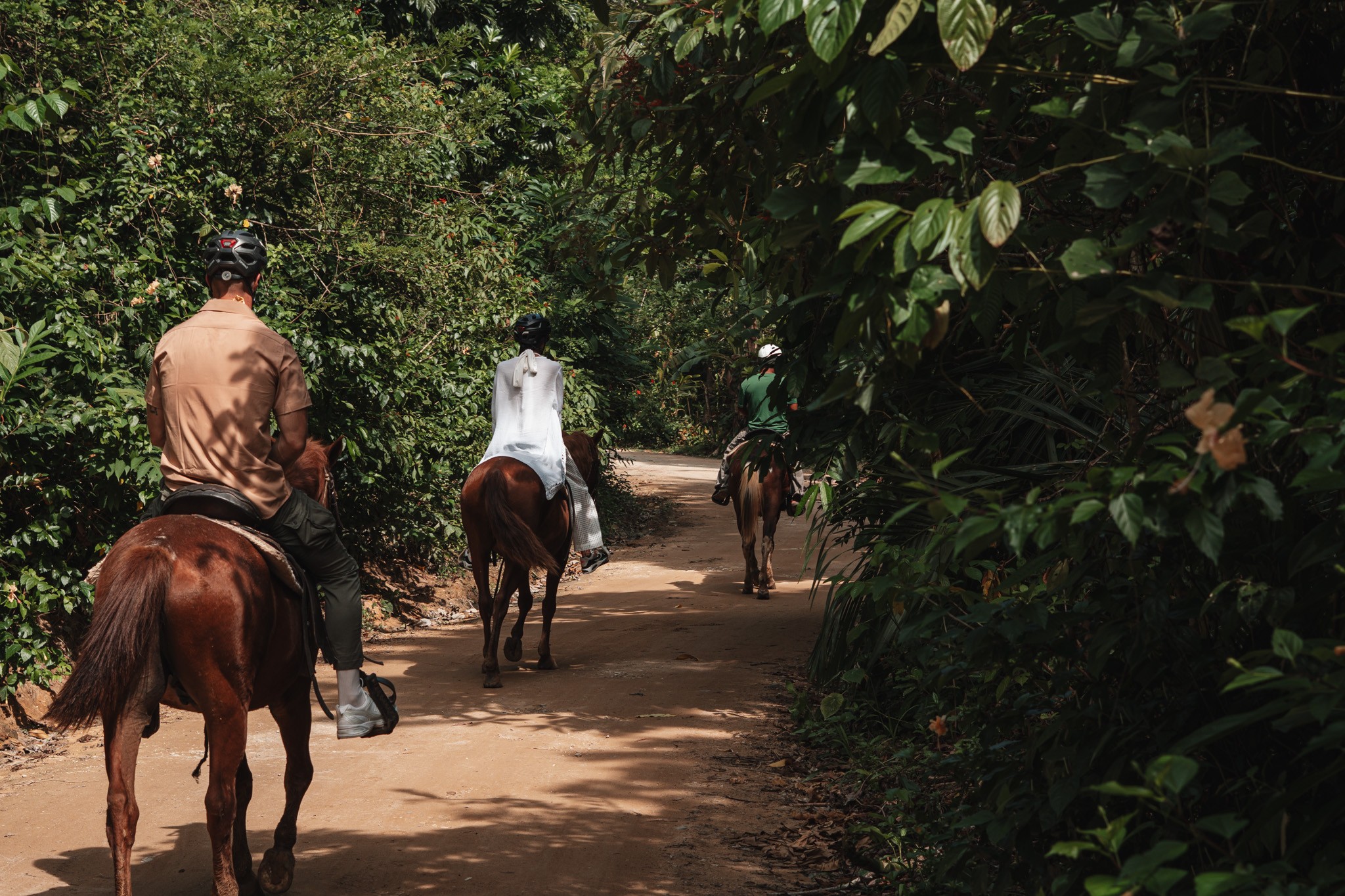 Bocas del Toro, no Panamá: experiência a cavalo permite explorar as paisagens e conhecer a biodiversidade local de uma maneira especial