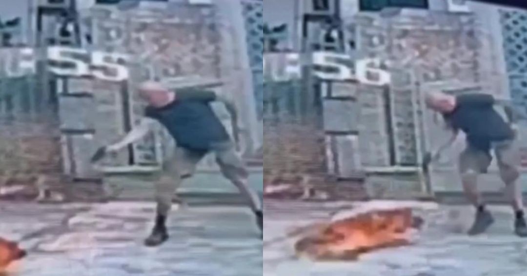 Homem mata a tiros cachorro na Tijuca, no Rio de Janeiro: ‘Nunca vi nada parecido’, diz tutora - QTU Questões do Universo