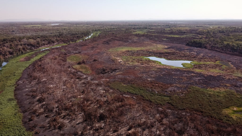 Vista aérea de uma área devastada por incêndio, com vegetação queimada em tons de marrom e preto. Um rio sinuoso com margens verdes serpenteia à esquerda, e um pequeno lago azul-esverdeado aparece no centro-direita. Ao fundo, a paisagem se estende com mais vegetação e céu claro