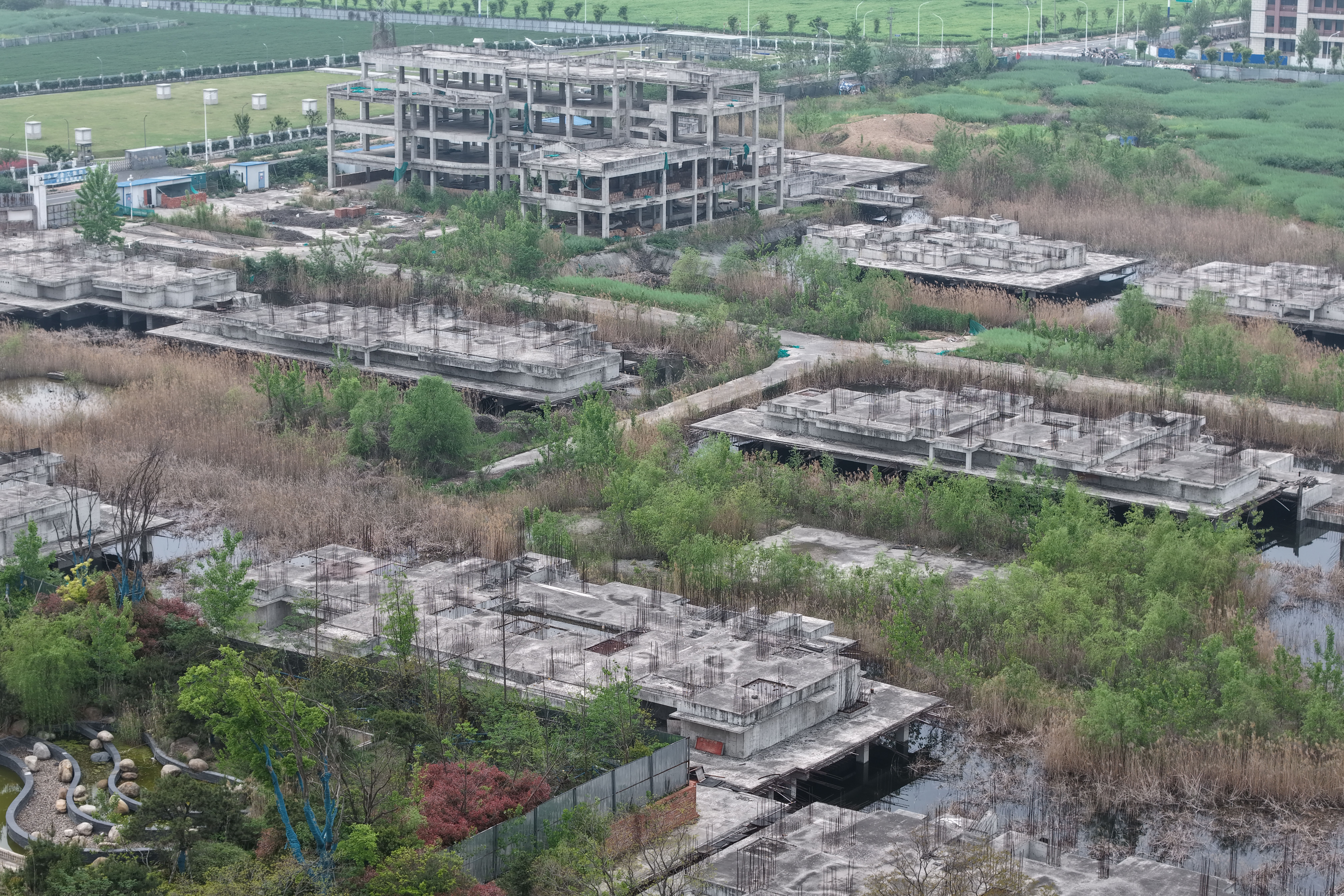 Vista a&eacute;rea de um complexo de edif&iacute;cios inacabados e abandonados, com estruturas de concreto cinza em diferentes est&aacute;gios de constru&ccedil;&atilde;o, cercadas por vegeta&ccedil;&atilde;o densa e &aacute;reas alagadas. Ao fundo, um campo verde e mais constru&ccedil;&otilde;es. A cena transmite uma sensa&ccedil;&atilde;o de desola&ccedil;&atilde;o e projetos paralisados