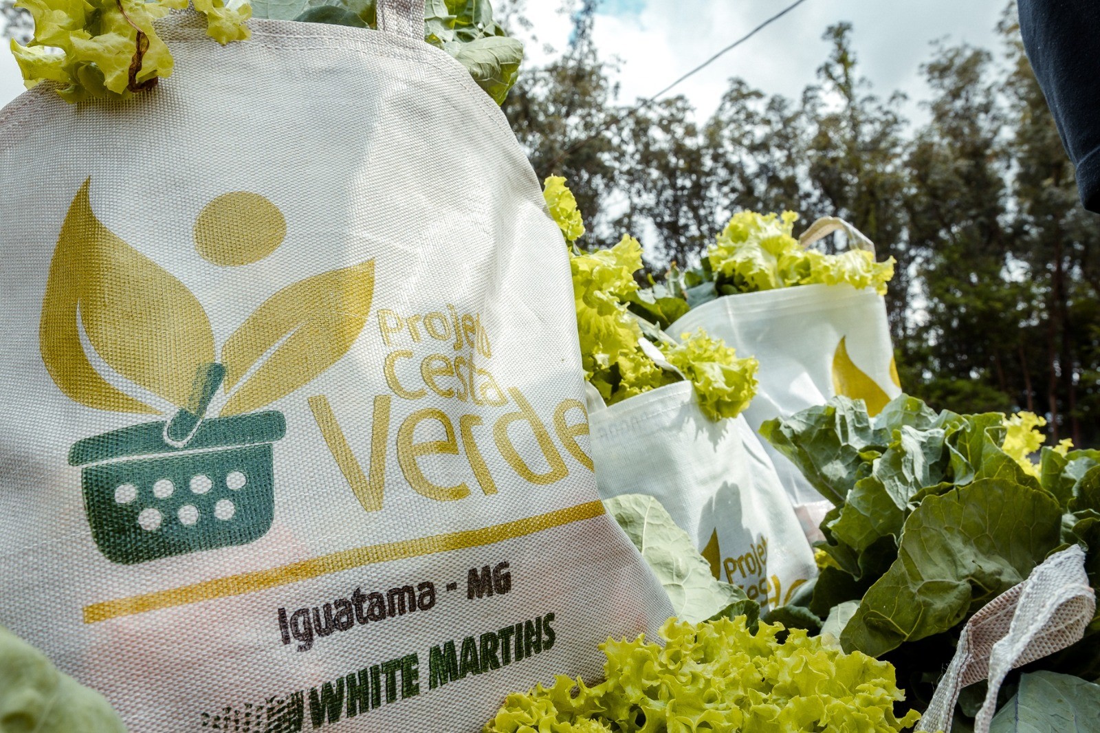 Dentro da fábrica, a horta da White Martins bate marco de 400 mil cestas