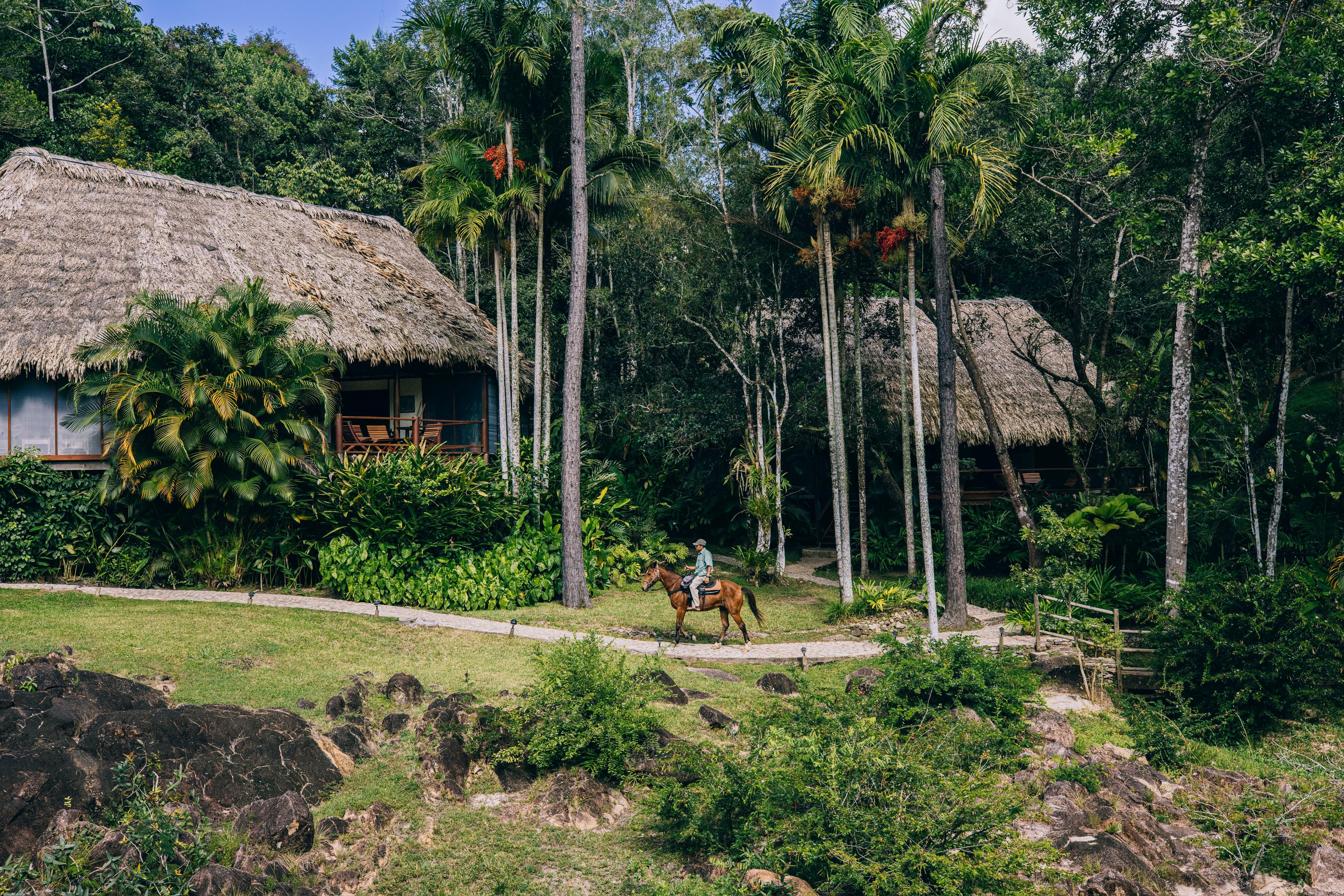 Blancaneaux Lodge, em Belize: passeios de duas horas a um dia inteiro combinando natureza, história e observação da vida selvagem