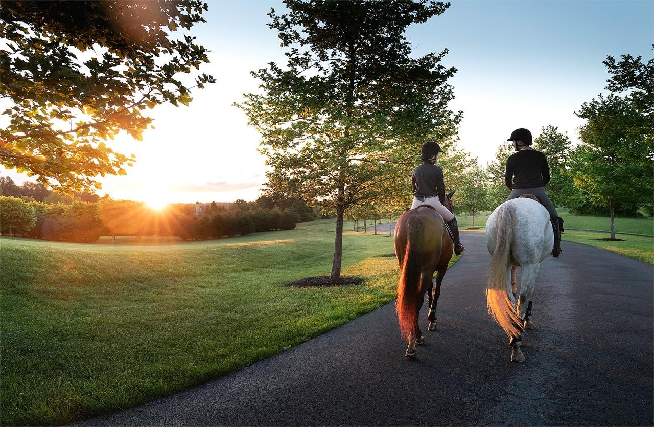 Salamander Middleburg, na Virgínia: o espaço tem 25 acres dedicados ao universo dos cavalos, o que permite ao hóspede vivenciar as tradições equestres da região