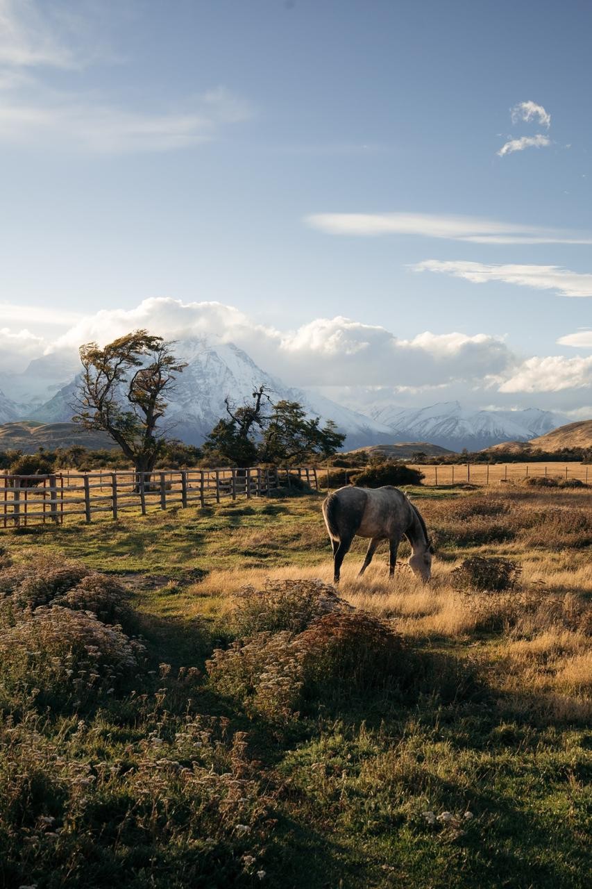 Tierra Patagonia: os passeios na região são conduzidos por Conduzidos por baqueanos, os experientes guias locais