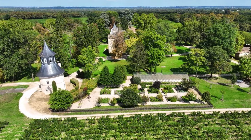 Vista aérea de um castelo branco com telhado cinza pontiagudo, cercado por jardins verdes bem cuidados e uma plantação de uvas em primeiro plano, sob um céu azul claro