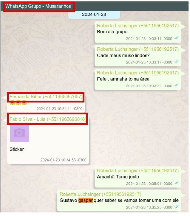 Captura de tela de um grupo de WhatsApp chamado Musaranhos, com mensagens de Roberta Luchsinger, Fernando Bittar e Fabio Silva - Lula. As mensagens incluem saudações, planos para o dia seguinte e menção a Gustavo Gaspar