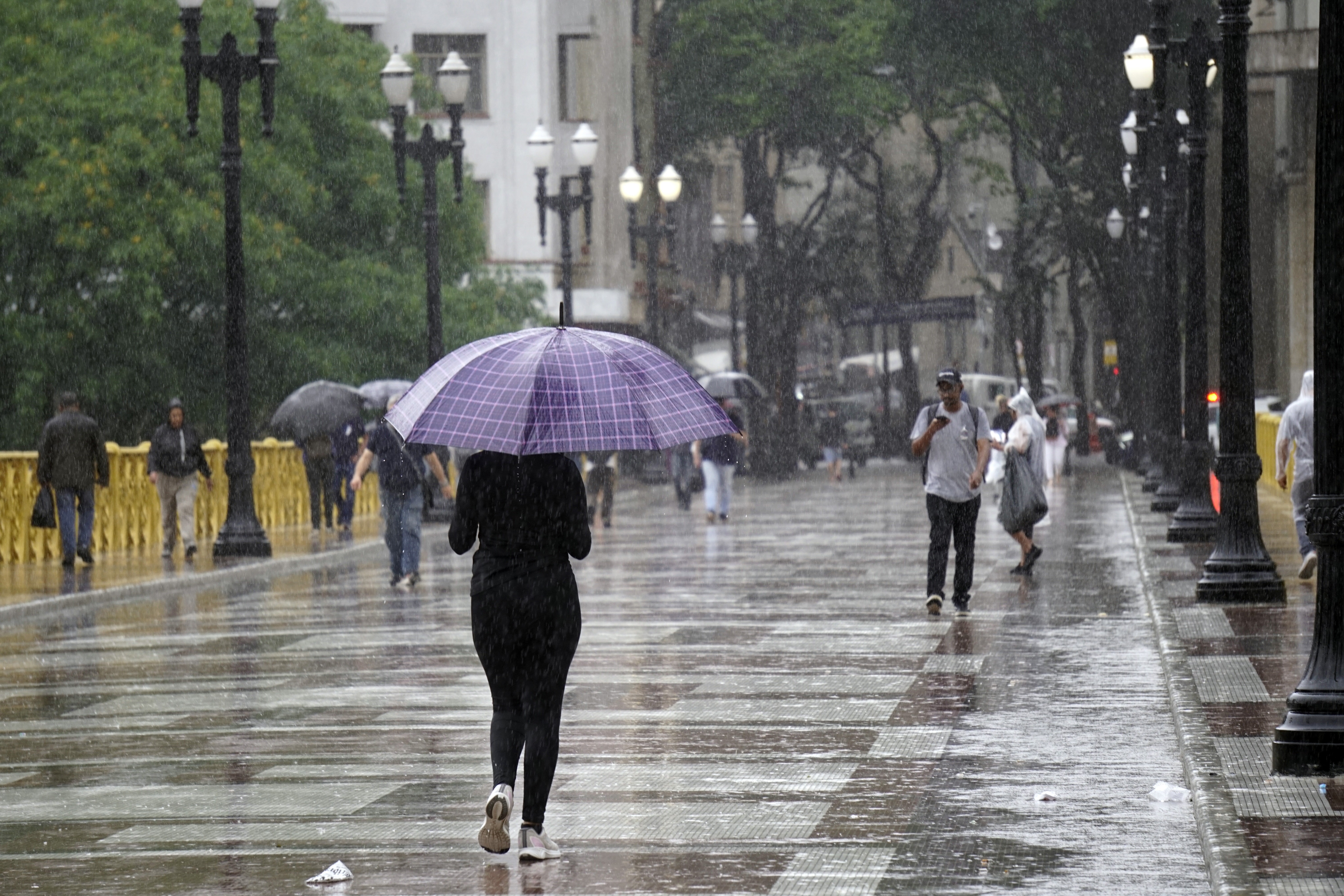 Previsão do tempo: São Paulo terá chuva forte neste sábado