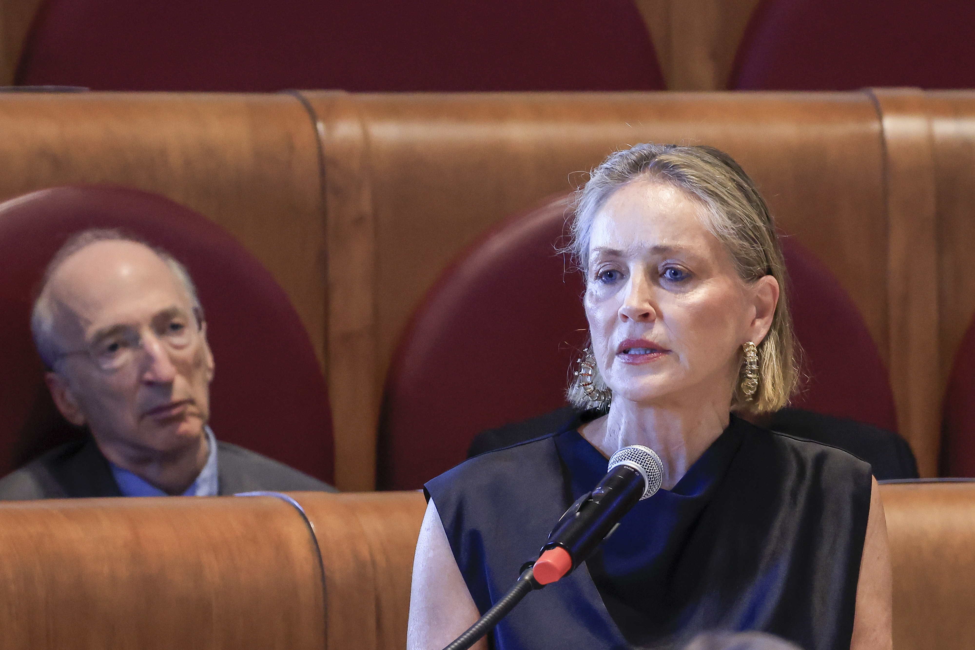 Sharon Stone explica decisão de aderir ao celibato