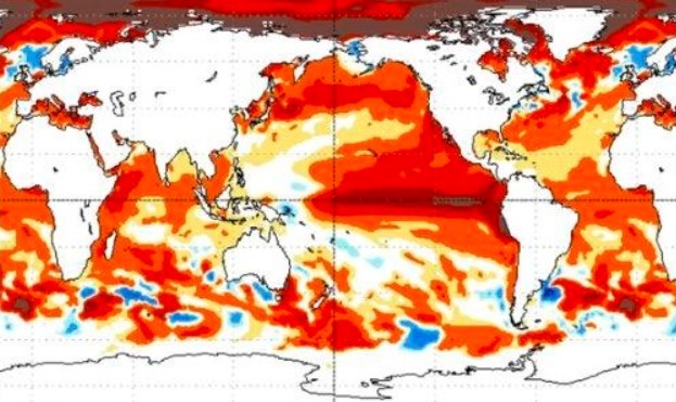 Nova previsão: El Niño será histórico, segundo NOAA - Foto