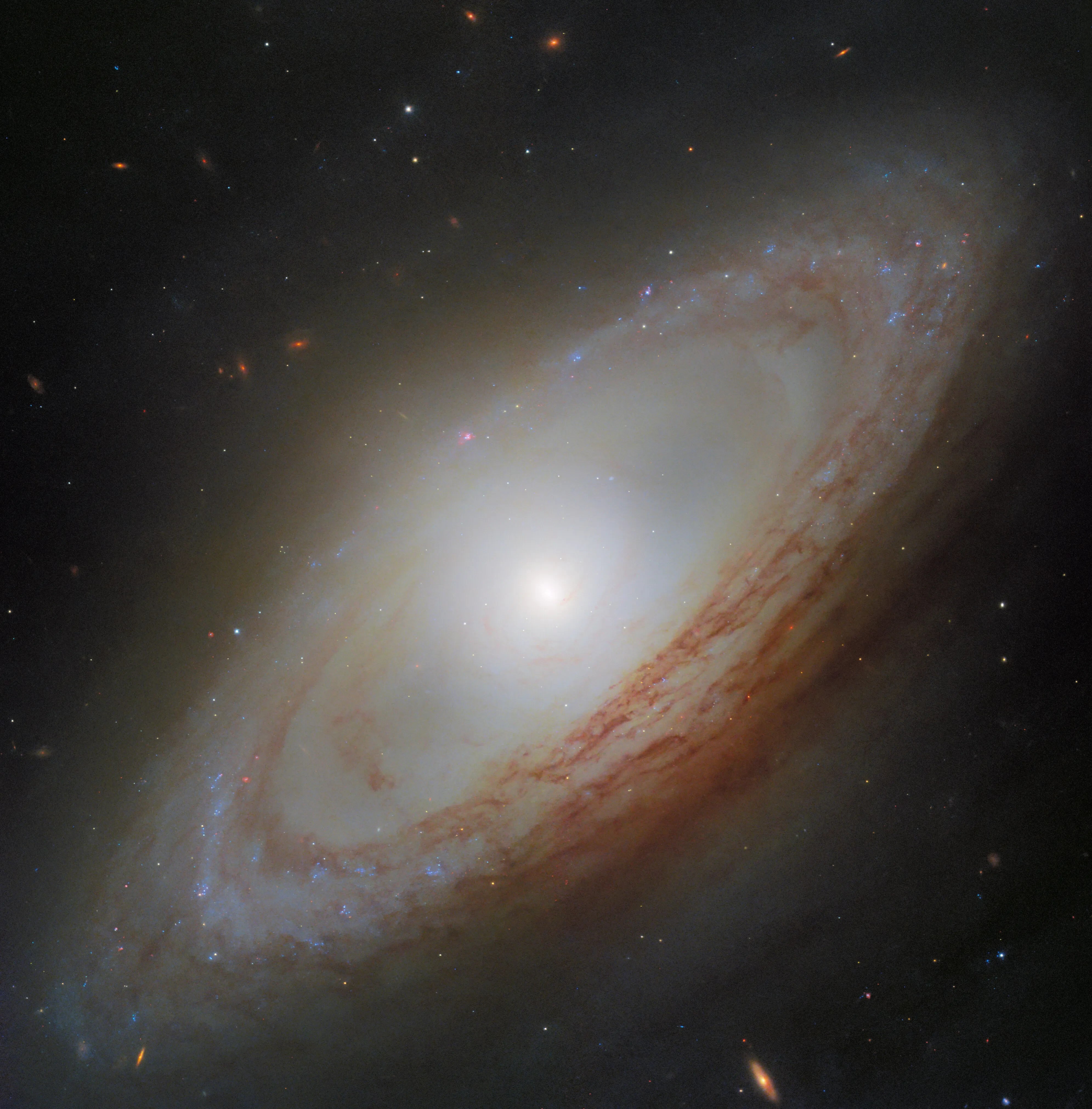 Galáxia espiral NGC 4526, com um núcleo branco brilhante e braços espirais em tons de marrom-avermelhado e azul, contra um fundo escuro repleto de estrelas e galáxias distantes