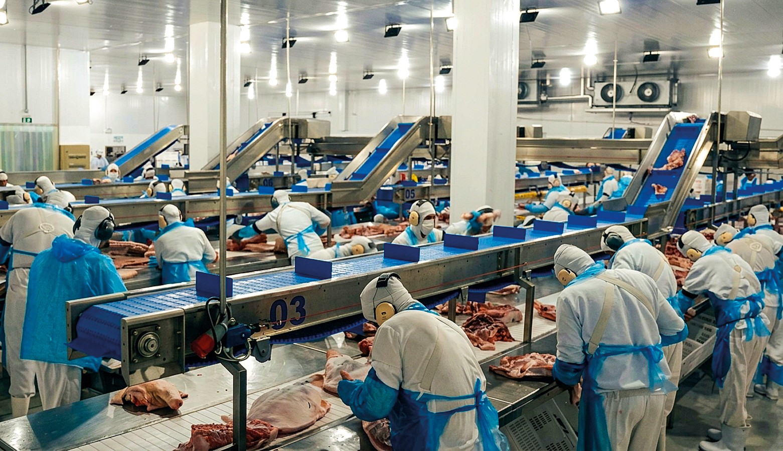 Trabalhadores em uma linha de produção de carne, vestidos com uniformes brancos e aventais azuis, manuseiam peças de carne em esteiras transportadoras azuis e prateadas, sob iluminação industrial