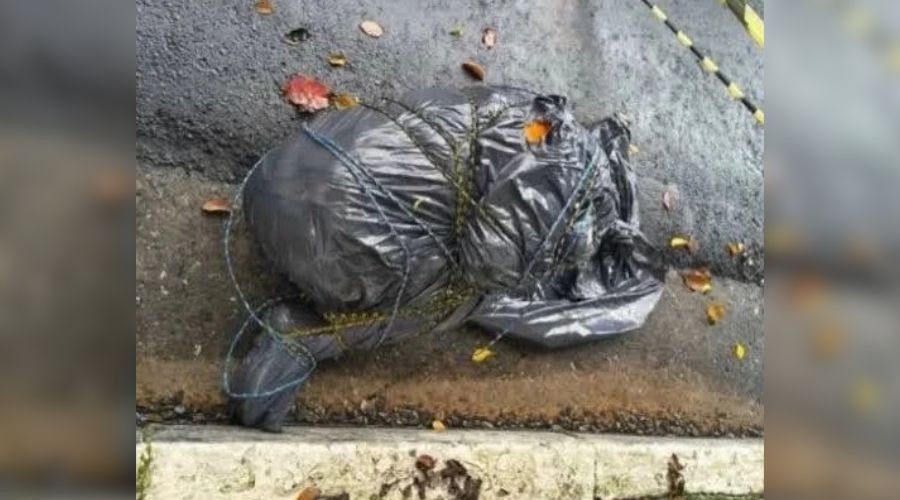 O que se sabe e o que ainda falta explicar sobre os corpos encontrados em sacos em São Paulo