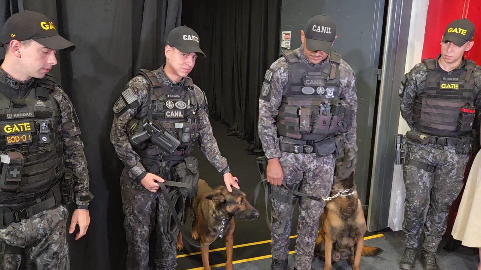 Quatro policiais militares do GATE, usando uniformes camuflados e coletes táticos, posam com dois cães farejadores da raça pastor-belga-malinois. Um policial acaricia um dos cães, enquanto os outros seguram as guias. O cenário é um ambiente interno com cortinas escuras e uma porta ao fundo.